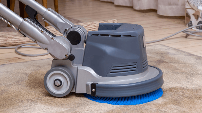 Why You Should Hire A Professional Carpet Cleaner?