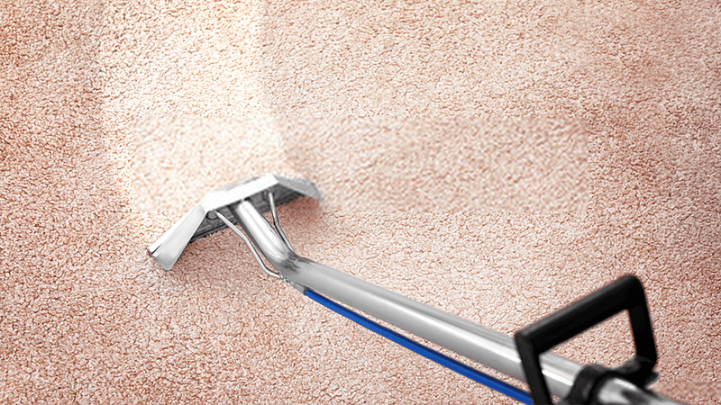 Tips to Choose the Right Domestic Carpet Cleaner